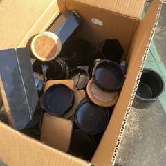 早い者勝ち！無料の画像