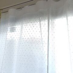 カーテン 4枚セット 幅86×丈125cm 両開き  2級遮光ドレープカーテン&採光レースカーテンセット 花柄 北欧風 黄色 イエロー カレン 形状記憶加工 ウェーブロンプラス 遮像 水玉の画像