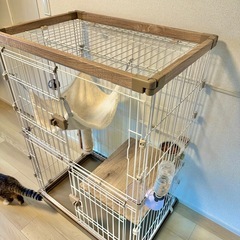 【商談成立済】猫用 2段ゲージ アイリスオーヤマ 「ウッディキャットゲージ」の画像