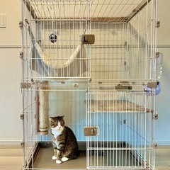 【商談成立済】猫用 2段ゲージ アイリスオーヤマ 「ウッディキャットゲージ」の画像