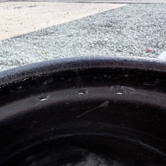 メダカ鉢 2個セット｜中古・軽量タイプ🐟の画像