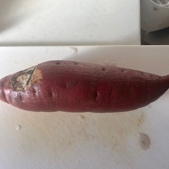 完売しました！　芋🍠サツマイモ🍠さつまいも🍠の画像