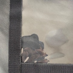 テンマクデザイン　新品未使用　TPUウィンドウシートの画像