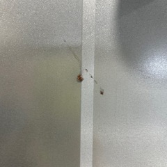 【7K08①】小型乾燥機の画像