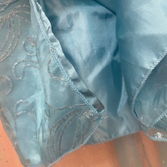 エルサコスプレ130 の画像