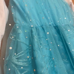 エルサコスプレ130 の画像