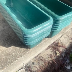 メダカ飼育　エコプランター グリーンの画像