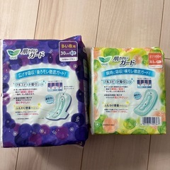 生理用ナプキン2点セットの画像