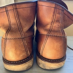 レッドウィングの画像