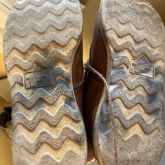 レッドウィングの画像