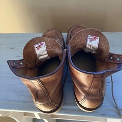 レッドウィングの画像