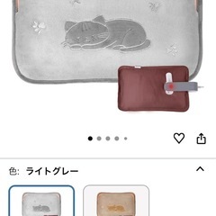 急募！！充電式湯たんぽの画像