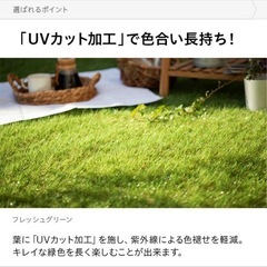 人工芝 2m×約4.2m ロール 芝丈40mm diy リアル人工芝 モダンデコの画像