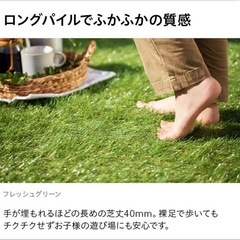 人工芝 2m×約4.2m ロール 芝丈40mm diy リアル人工芝 モダンデコの画像