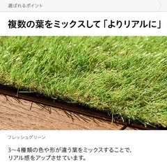 人工芝 2m×約4.2m ロール 芝丈40mm diy リアル人工芝 モダンデコの画像