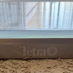 ガラス水槽3本(𝐓𝐞𝐭𝐫𝐚40cm)の画像