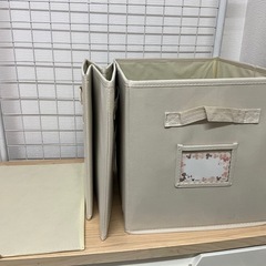 衣装整理ケースの画像