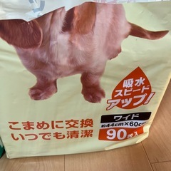 【決まりました】トライアル ペットシーツ ワイド・レギュラーの画像