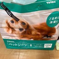 【決まりました】トライアル ペットシーツ ワイド・レギュラーの画像