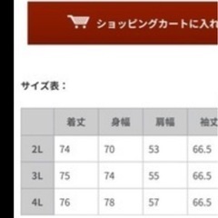 Hush Puppies紳士ダウンの画像