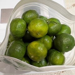 シークワーサーの実の画像