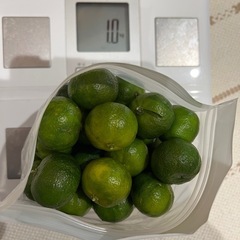 シークワーサーの実の画像