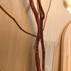 ドライフラワーの枝セットの画像