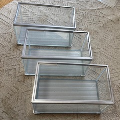 ガラス水槽3本(𝐓𝐞𝐭𝐫𝐚40cm)の画像