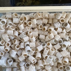 水槽　フィルター　ろ材の画像