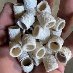 水槽　フィルター　ろ材の画像