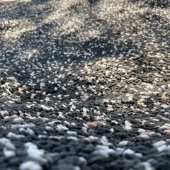 IKEA ヴィンドゥムラグ　ダークグレーの画像