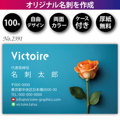 名刺印刷 100枚 両面 フルカラー 紙ケース付 No.2391