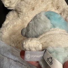 新品未使用✨スカルパンダ ⚠️プロフ必須の画像