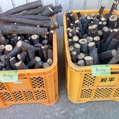 薪(栗の木)⑤の画像