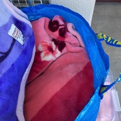 毛布（中古品）決まりました。の画像