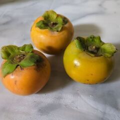 無農薬富有柿。まだありますの画像