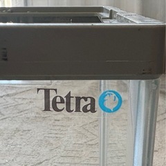 ガラス水槽2本(𝐓𝐞𝐭𝐫𝐚50cm)の画像