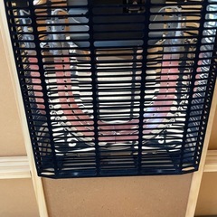 【美品】大〜中型こたつ　の画像