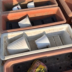 プランター　鉢　ベランダガーデンまとめての画像