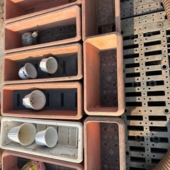 プランター　鉢　ベランダガーデンまとめての画像