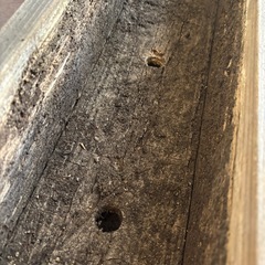 木製植木鉢の画像