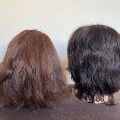 ウィッグ
の画像