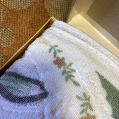 【決定しました】タオルケット2枚セットの画像