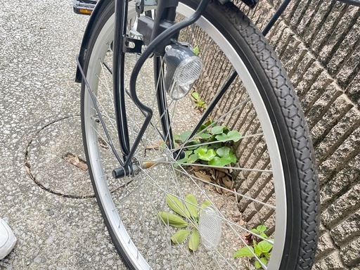 自転車　
