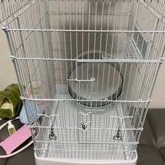 フクロモモンガ、小動物飼育セットの画像