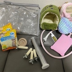 フクロモモンガ、小動物飼育セットの画像