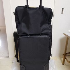 (追加画像)ANAオリジナル キャリーバッグ スーツケース 3点セットの画像