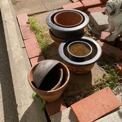 植木鉢　無料で差し上げますの画像