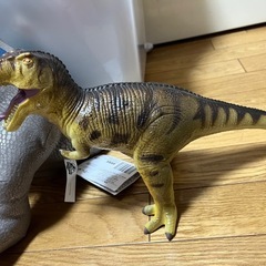 今日限定。ジュラシックワールドの画像