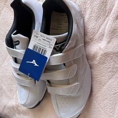 【新品未使用】ミズノ野球用アップシューズ 29cmの画像